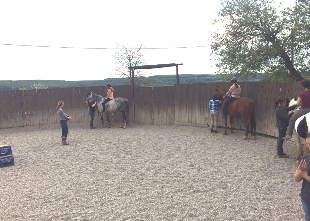 t2-RAI-Reiten