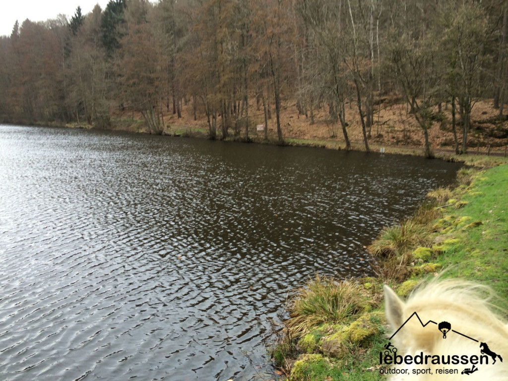 Großer See im Ensheimer Gelösch