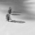 Bäume auf jungfräulichem Schnee | (c) guzilla.eu