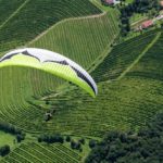 Gleitschirm Wettkampfpilot über dem Weinberg | (c) guzilla.eu