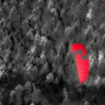 Roter Gleitschirm auf schwarzem Wald | (c) guzilla.eu