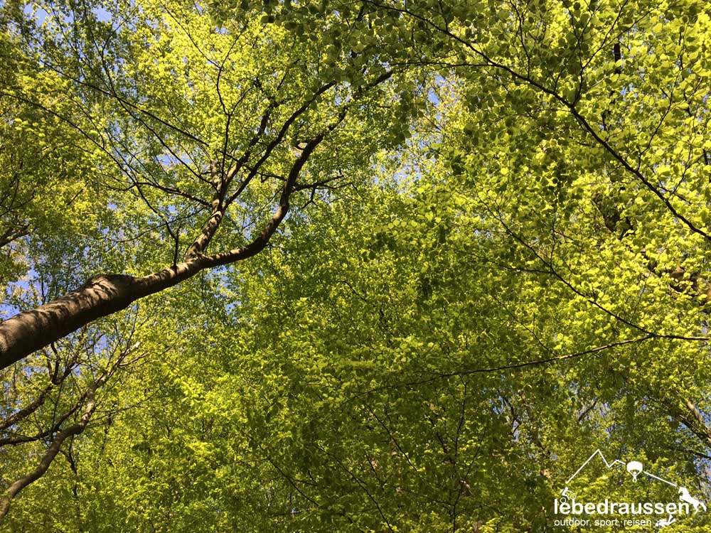 Die Erkenntnis liegt manchmal dort, wo man sie nie erwartete.