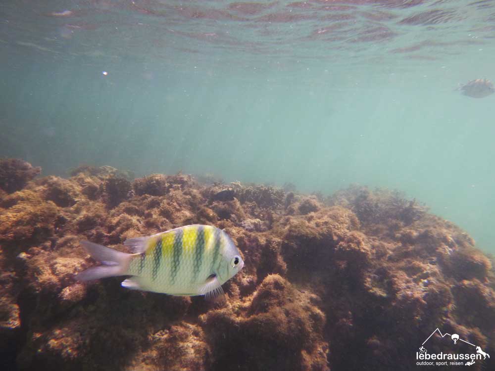 Maragogi-Alagoas-Brasilien