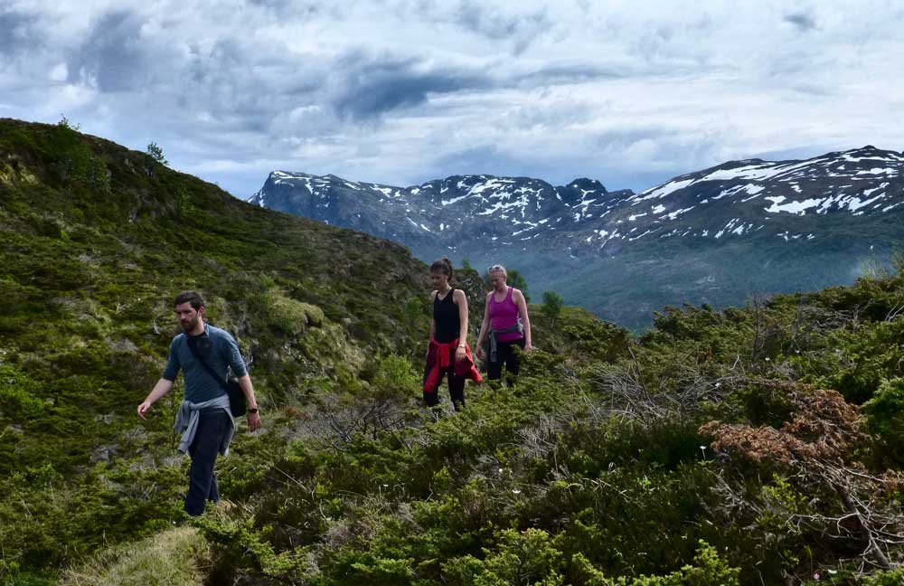 Norwegen: Wandern auf der Fjordchallenge