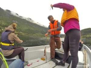 Fische am Haken