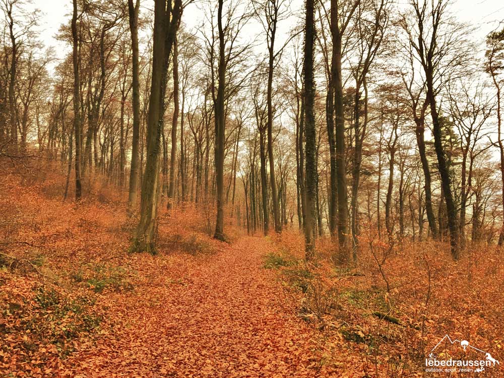 Wanderweg Mosel