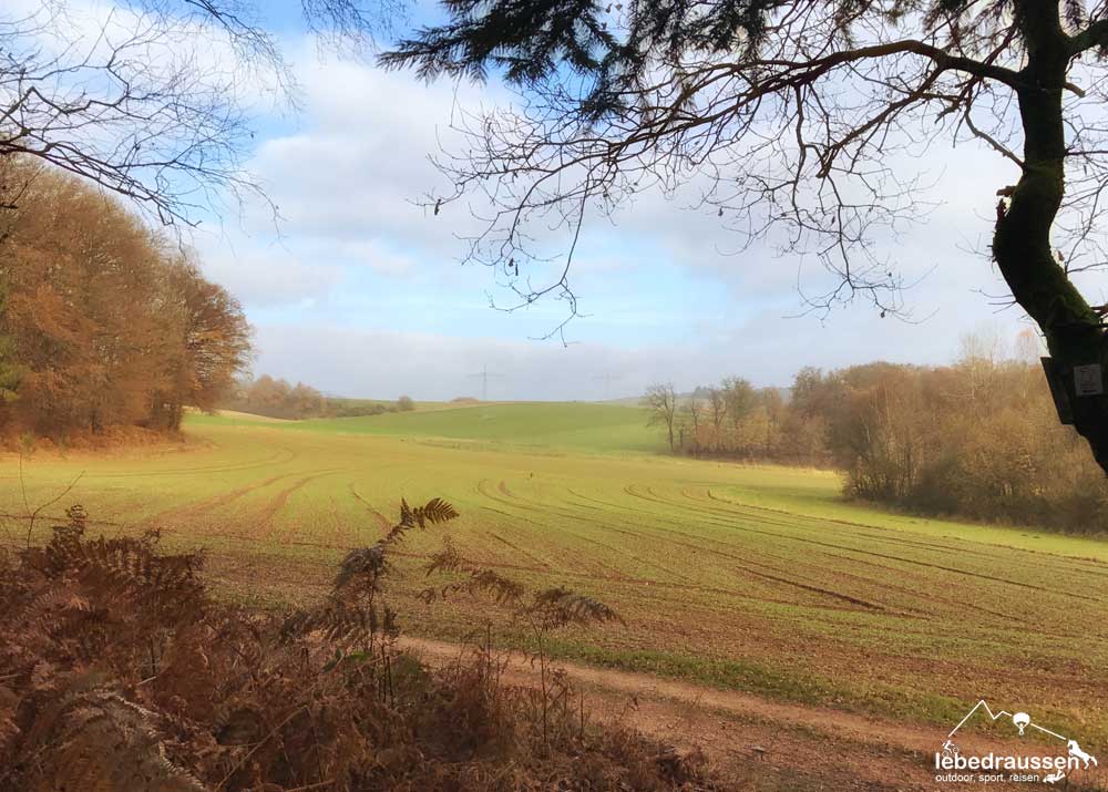 Ausblick Premiumweg Offizierspfad Hofgut Imsbach