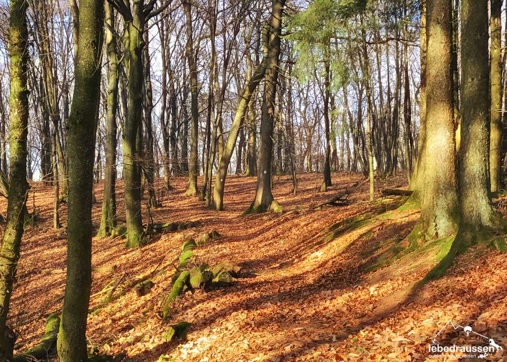 Premiumweg Hofgut Imsbach