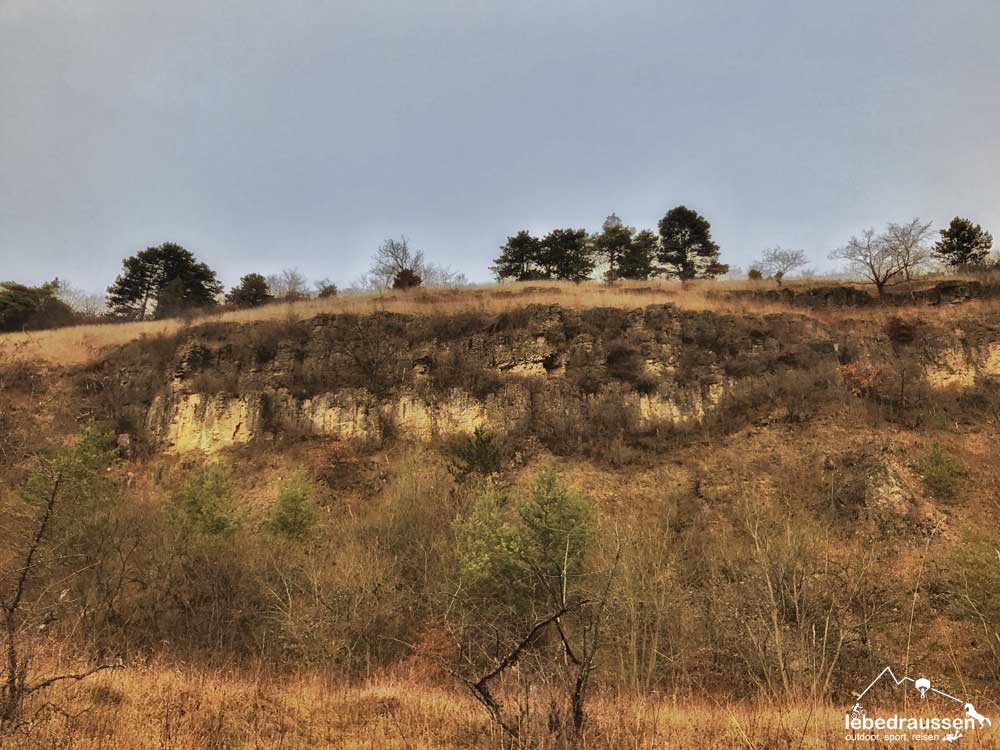Wanderweg Mosel