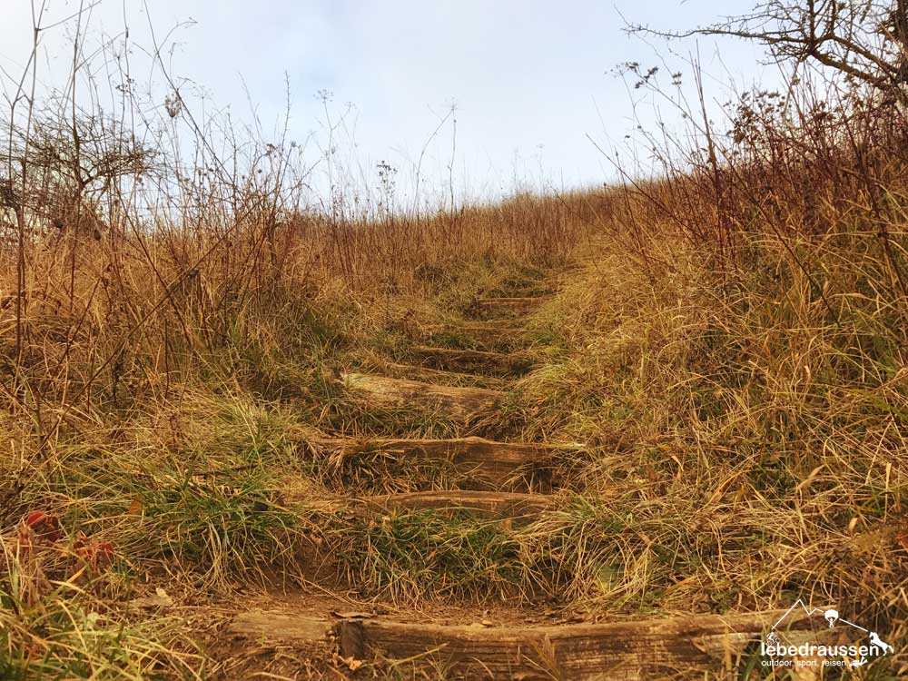 Wanderweg Mosel