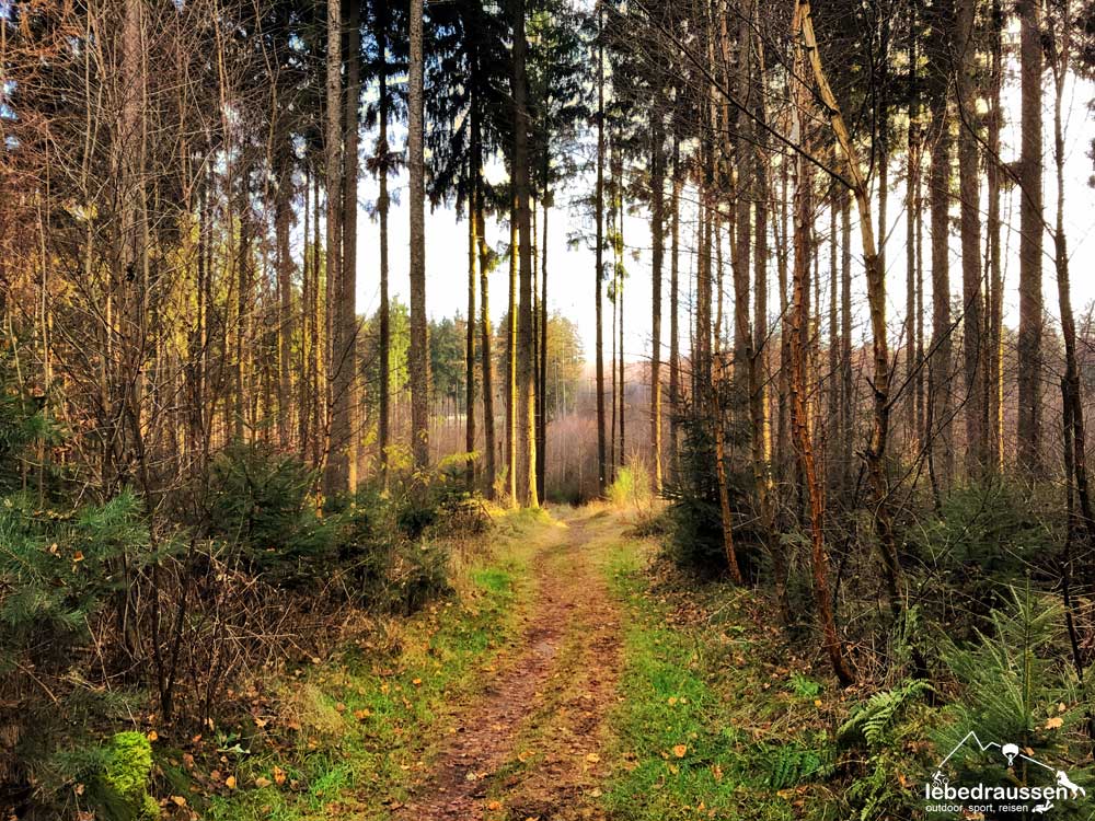 Waldpfad Premiumwanderweg Offizierspfad