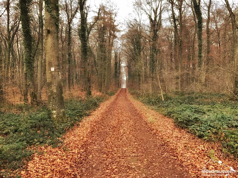 Wanderweg Mosel