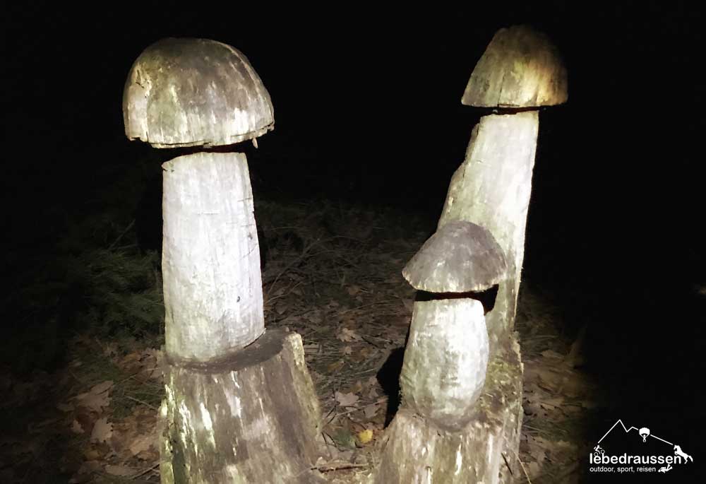 Pilze Litermont-Sagenweg