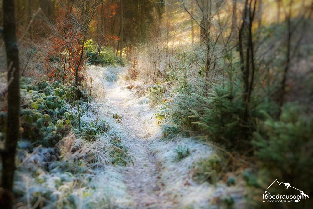 Kristallzuckerweg auf dem Wildnis-Trail in Weiskirchen