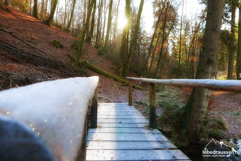Brücke mit Frost am Wildnis-Trail