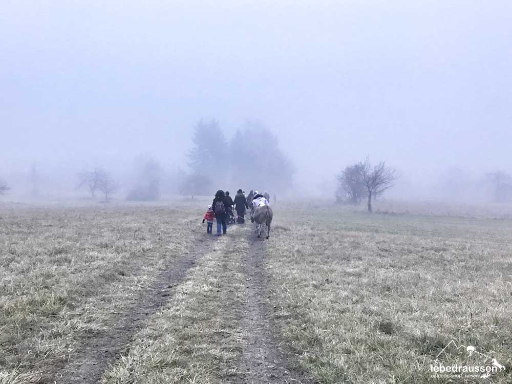 Eseltrekking im winterlichen Saarland