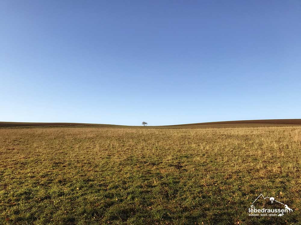 Traumschleife Georgi Panoramaweg einsamer Baum
