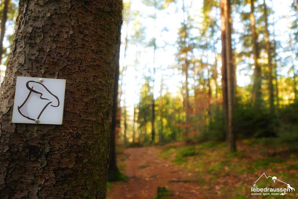 Wanderung: Wald auf der Kirkler Tafeltour