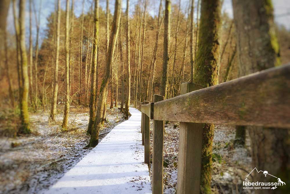 Holzstege über saarländischem Sumpfgebiet
