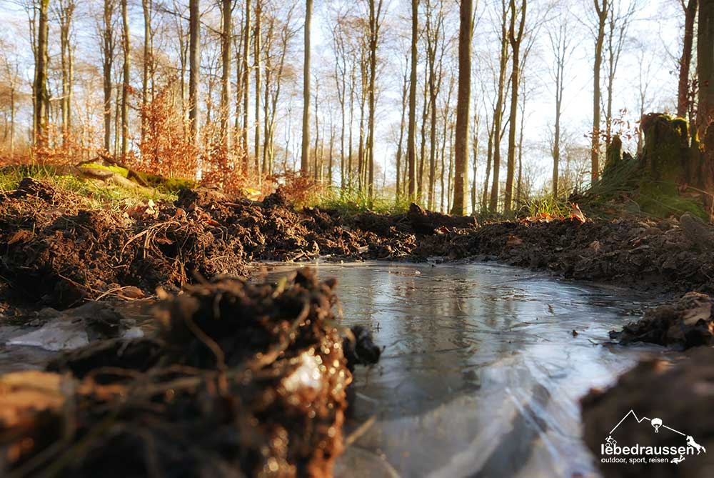 Eispfütze im Wald auf dem Wildnis-Trail
