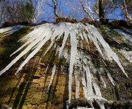 Eiszapfen auf der Felsenpfad Wanderung im Saarland