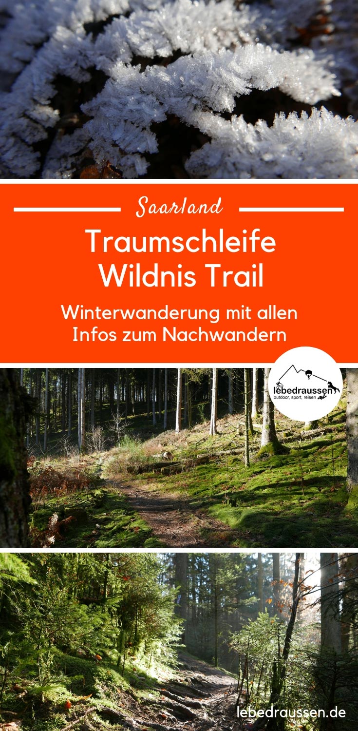 Winter Wandern Saarland Wildnis Trail