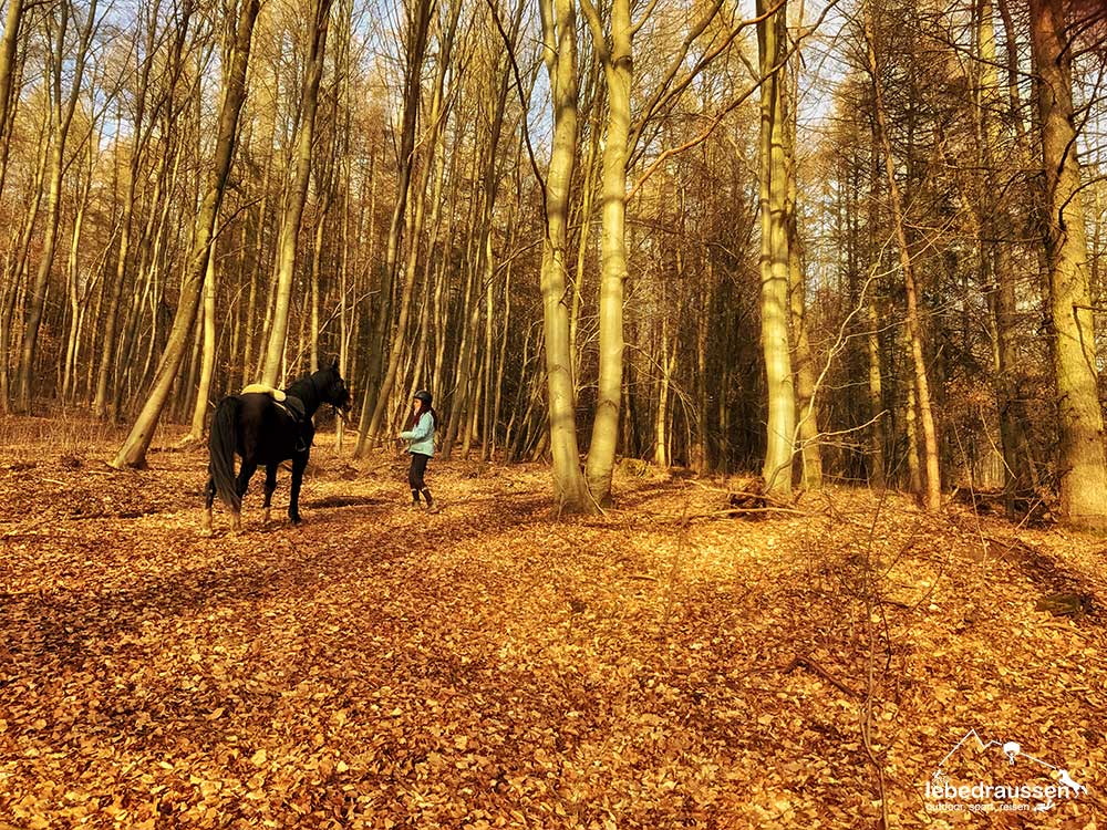 Wanderritt im Saarland