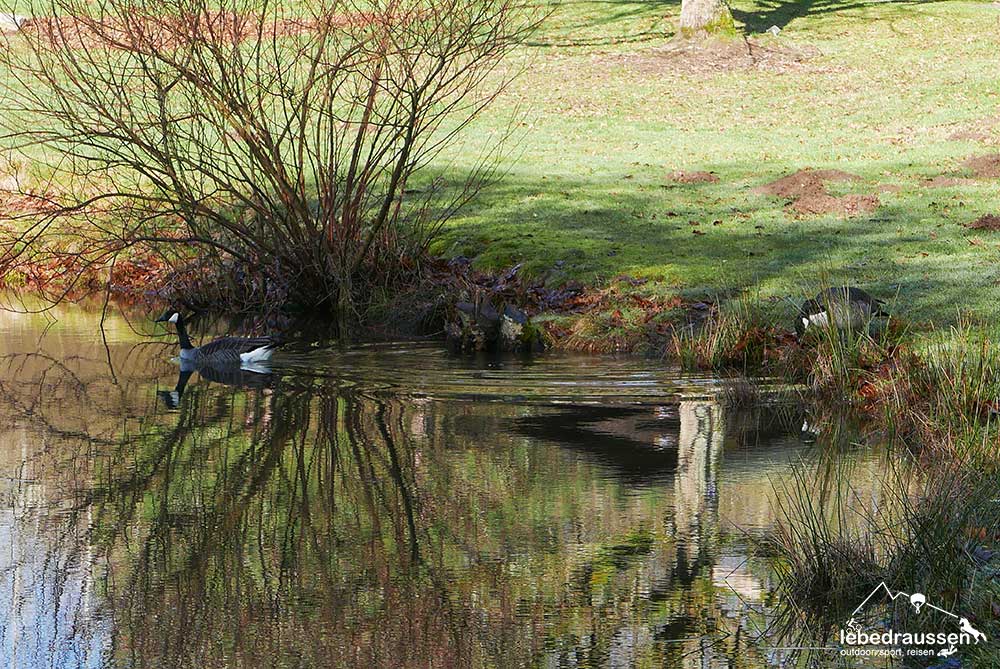 Traumschleife Felsenweg Enten