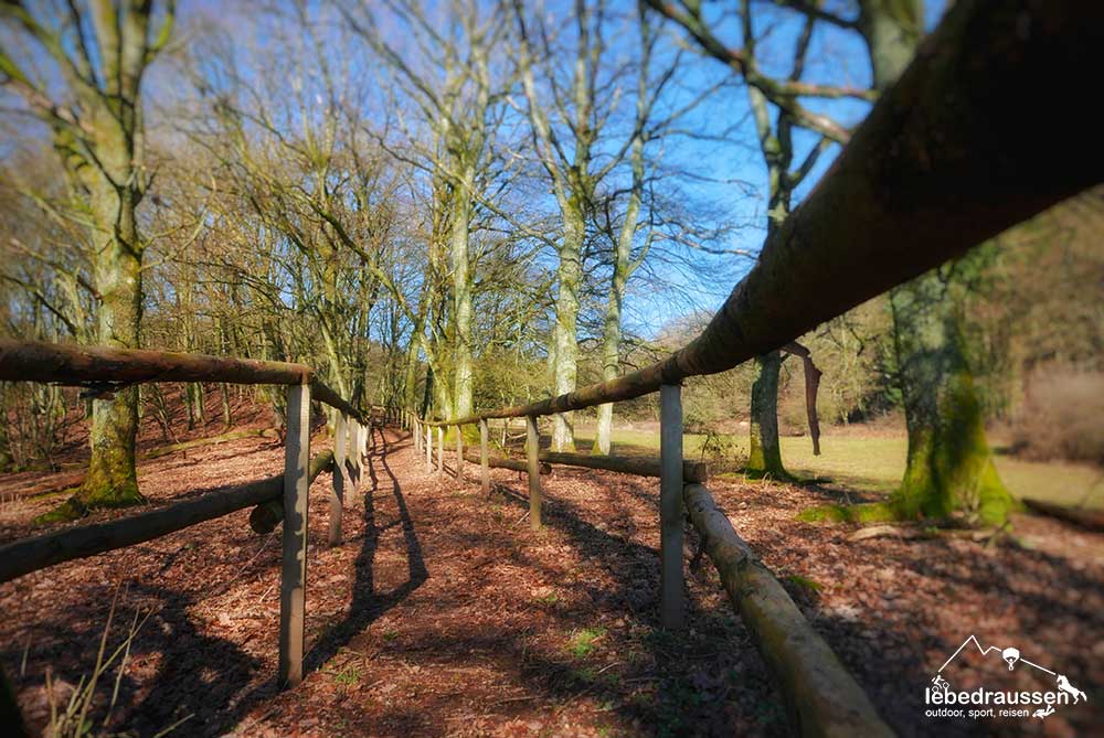 Losheimer Felsenweg Weg zur Viehweide