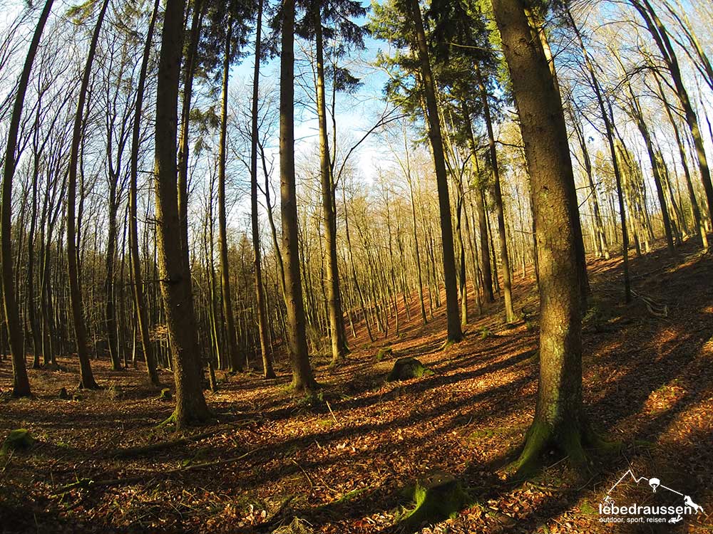 Traumschleife Felsenweg Waldweg