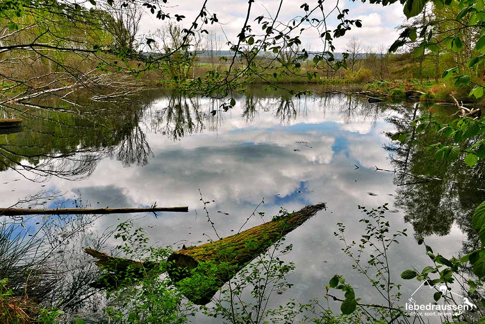 Weiher auf dem Georgi-Panoramaweg