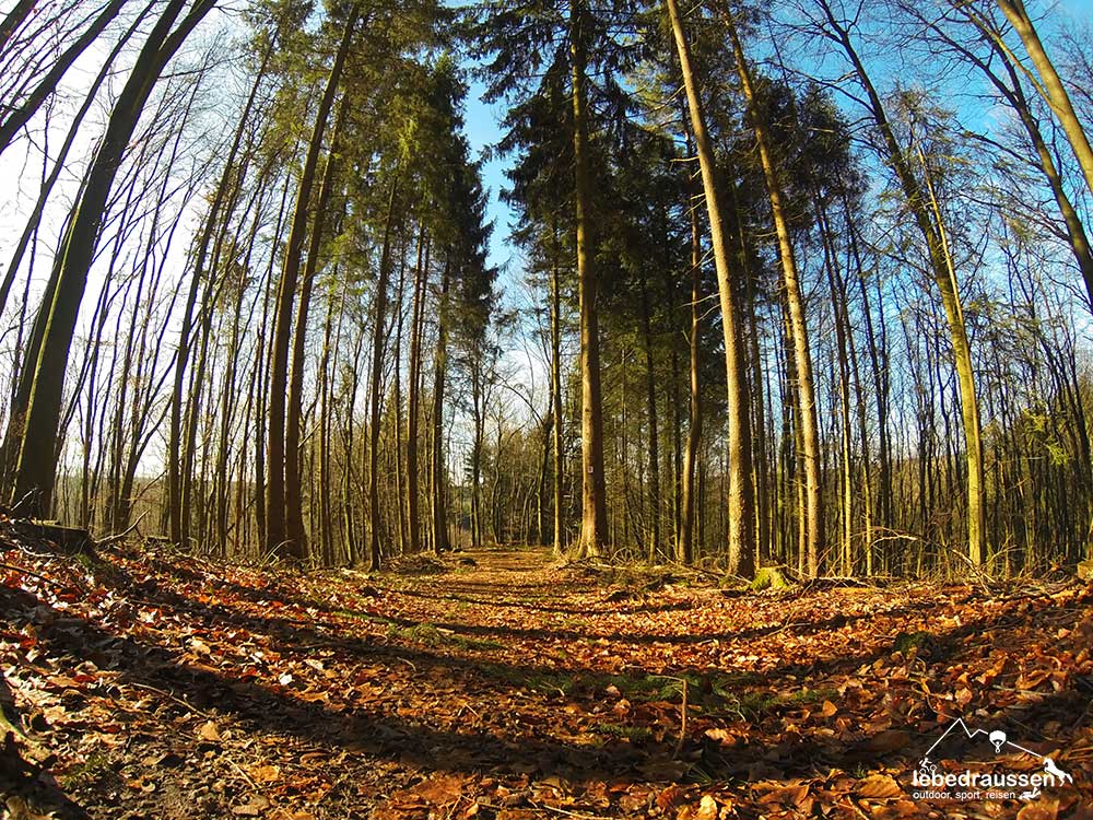 Traumschleife Felsenweg Waldweg