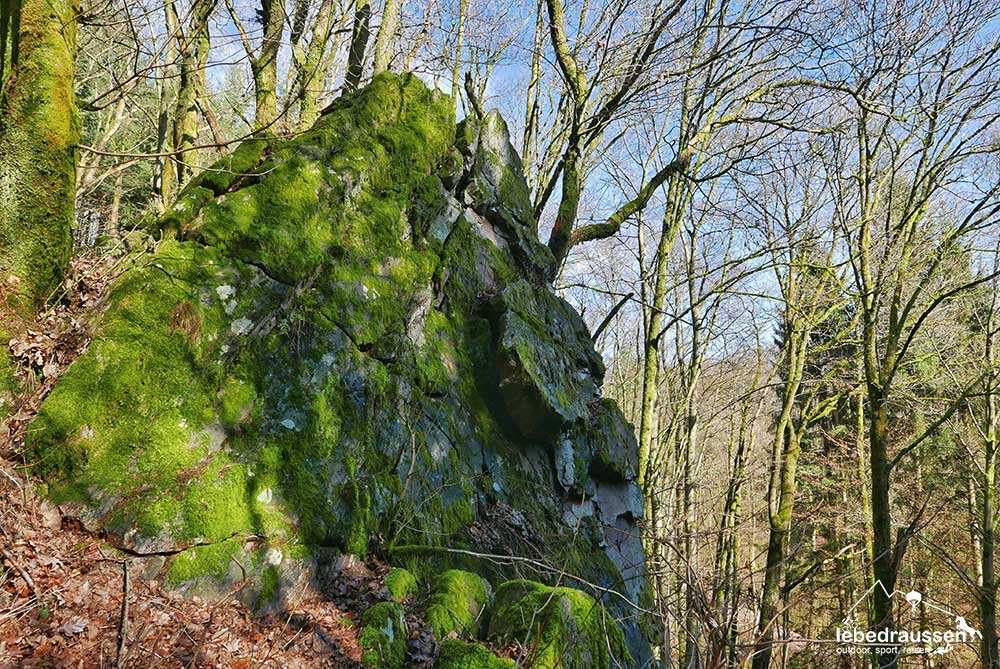 Schlangenfelsen Losheimer Felsenweg