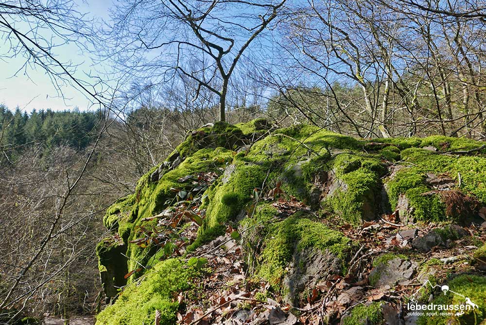 Historische Burgruine Traumschleife Felsenweg