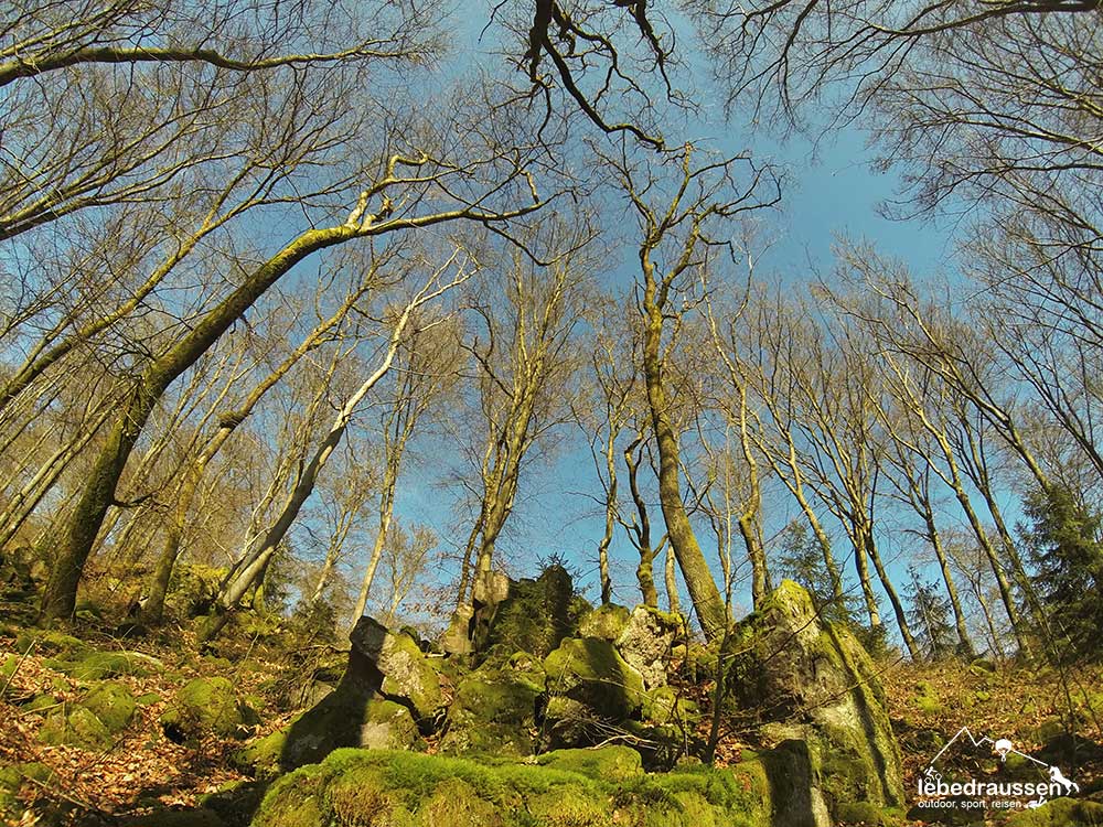 Felsformation Traumschleife Felsenweg