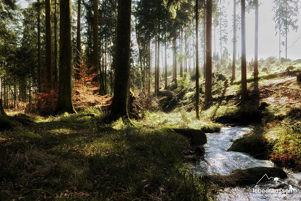 Traumschleife Felsenweg Bachlauf