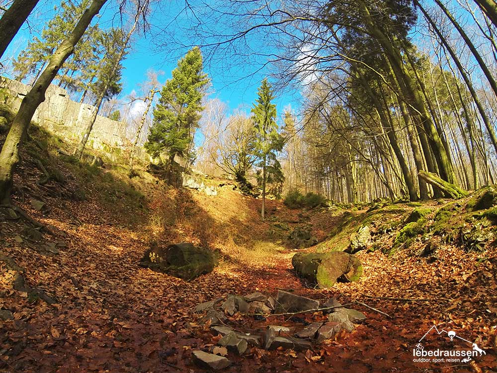 Blick auf den Bärenfelsen