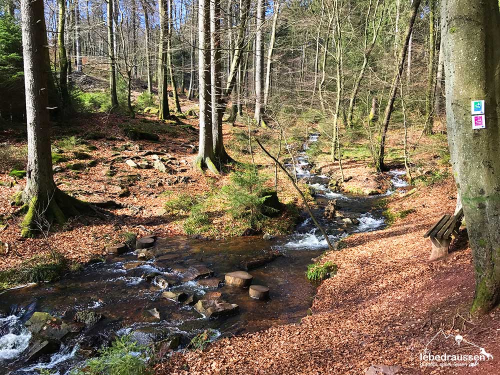 Traumschleife Felsenweg Bachueberquerung2