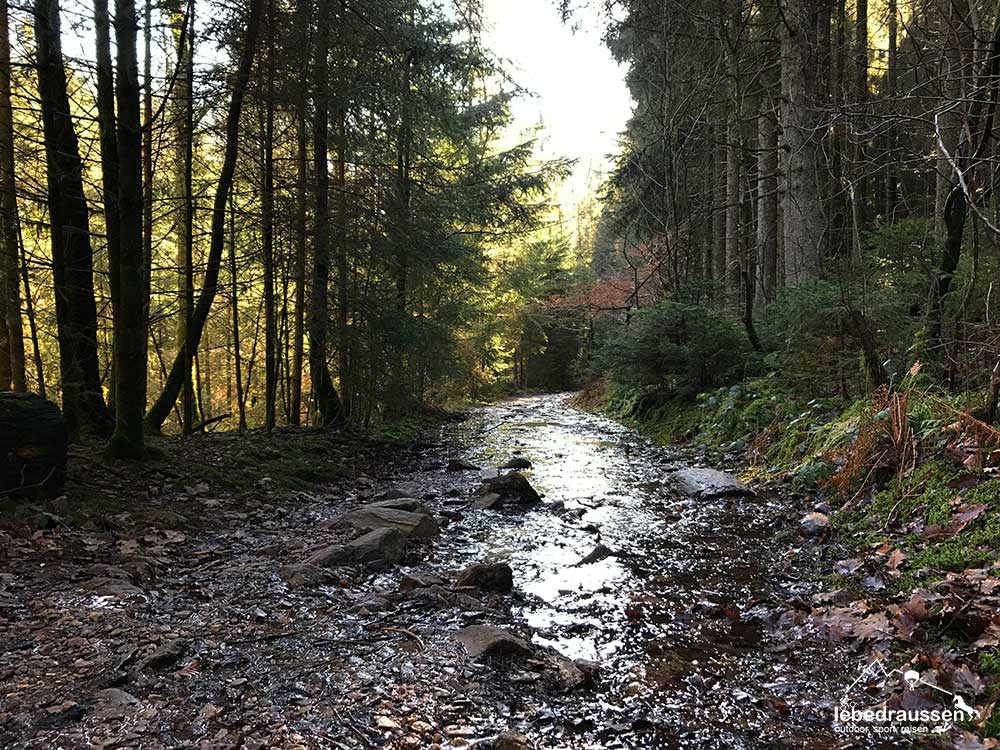 Wasserweg auf der Traumschleife