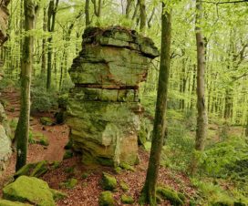 Bizarre Felsen auf dem Mullerthal Trail