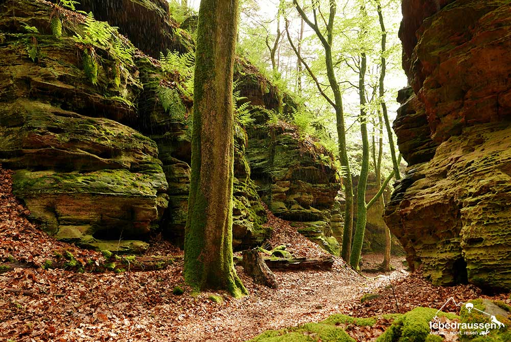 Felsen am Siewenschlüff in Luxemburg