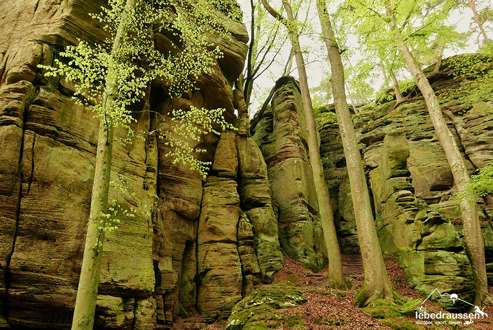 Bizarre Felsformationen in Luxemburg