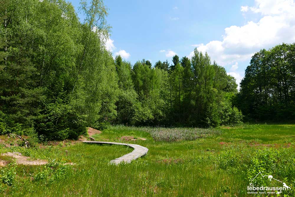 Stege im Froschparadies