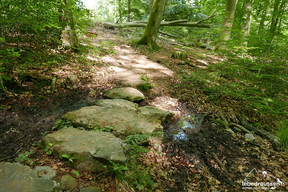 Naturbelassene Pfade