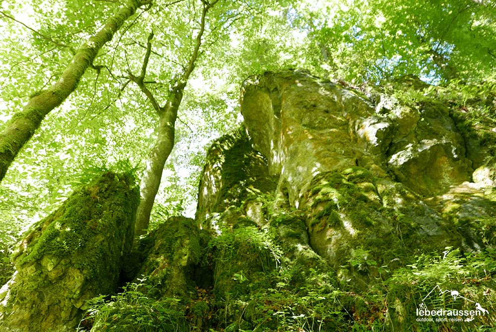 Felsformationen im Nürnberger-Land
