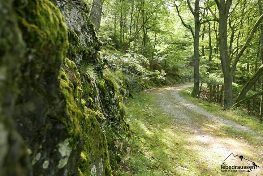 Felsen und Waldweg