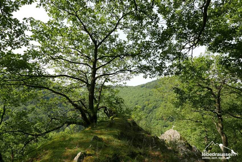Ausblick am Fels