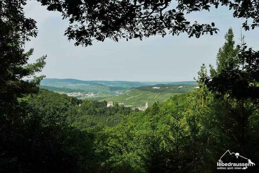 Ausblick aus dem Wald