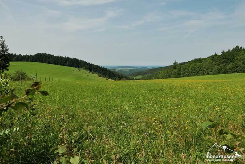 Sommerwiese Moselsteig Bärensteig