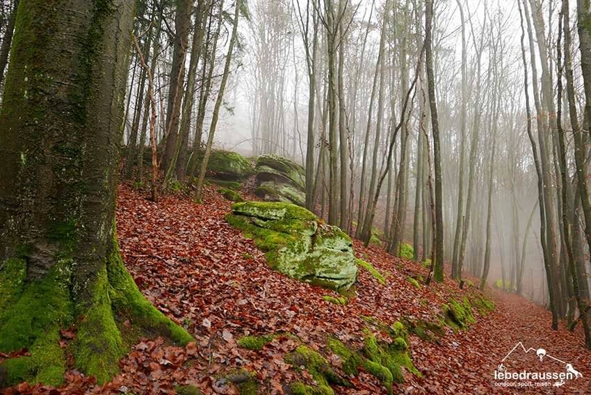 Felsenwaldtour im Nebel